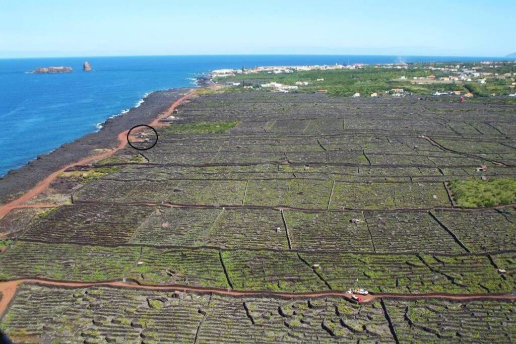 Ocean View In Unesco Heritage Site Criacao Velha المظهر الخارجي الصورة